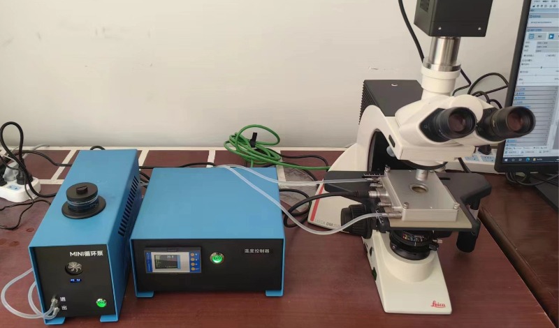 热台搭配徕卡DM2500光学显微镜
